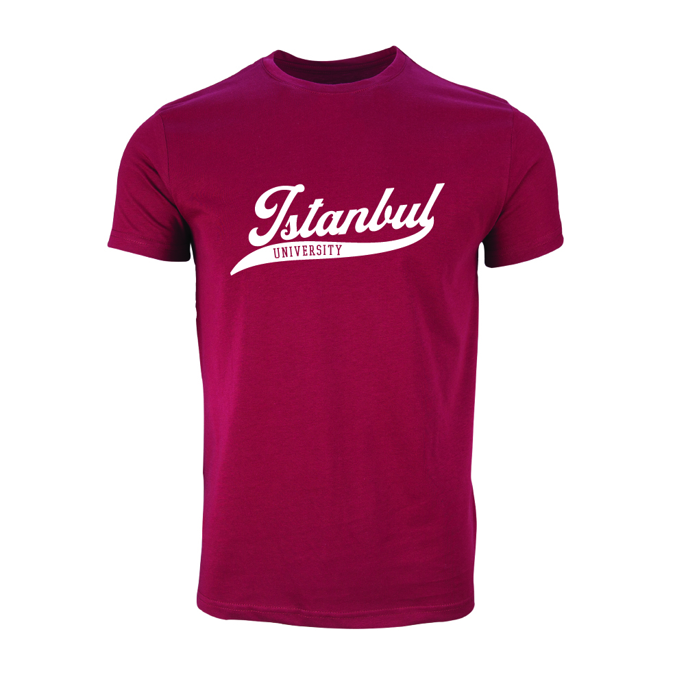 Istanbul Üniversitesi Model 1