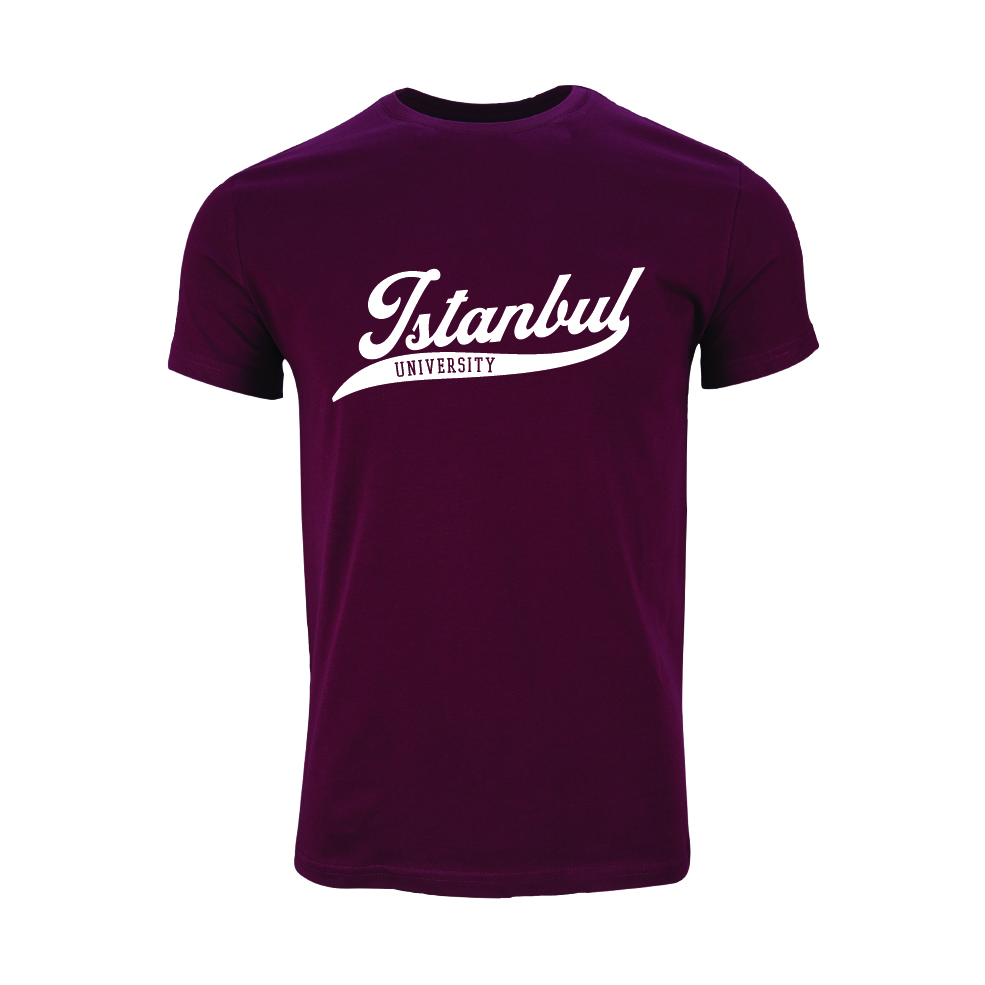 Istanbul Üniversitesi Model 1