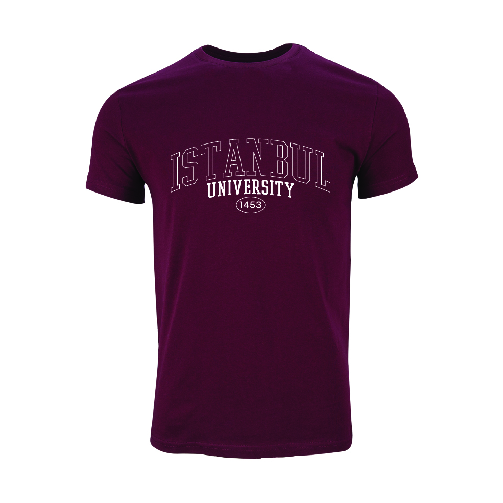 Istanbul Üniversitesi Model 2