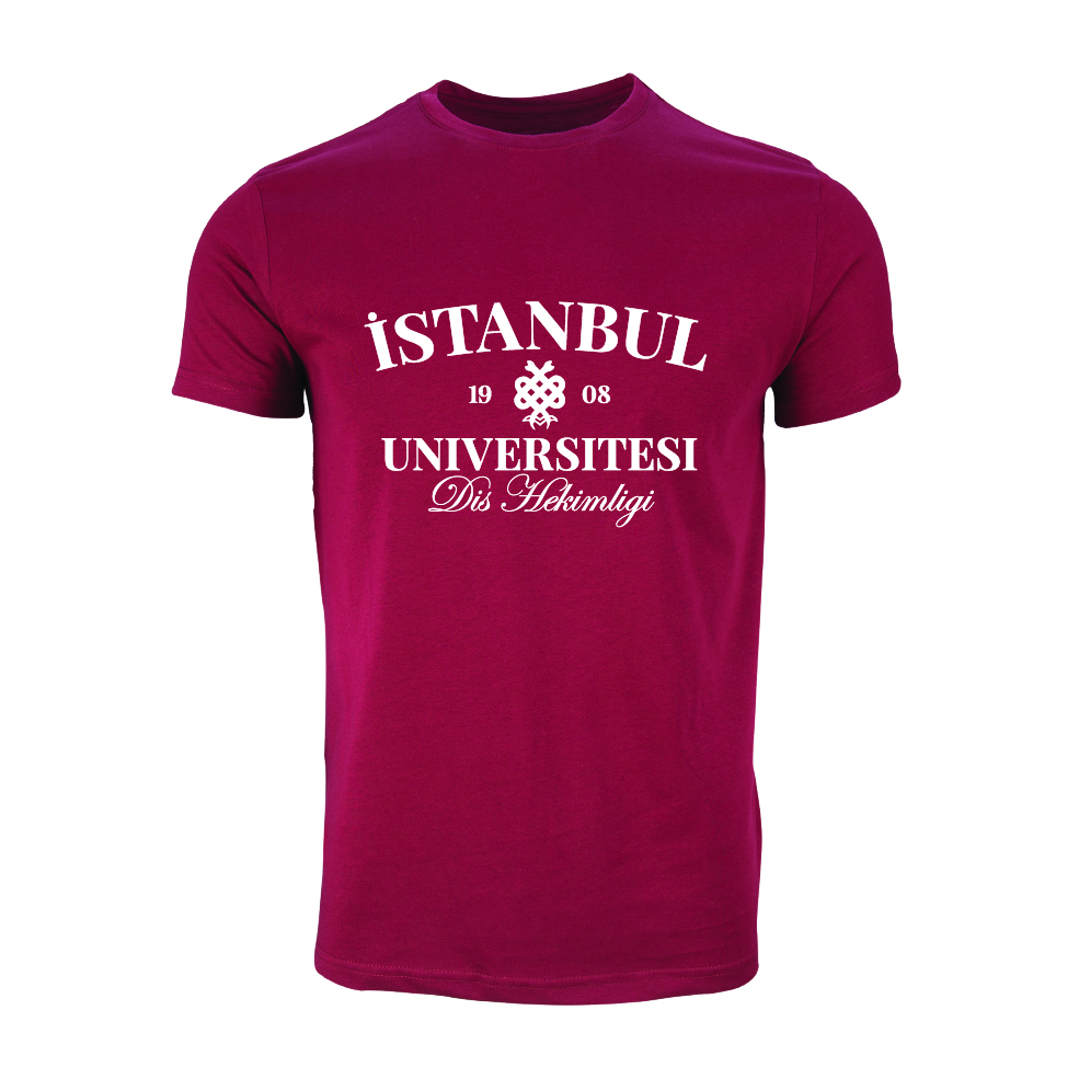 Istanbul Üniversitesi Dis Hekimligi Model 1