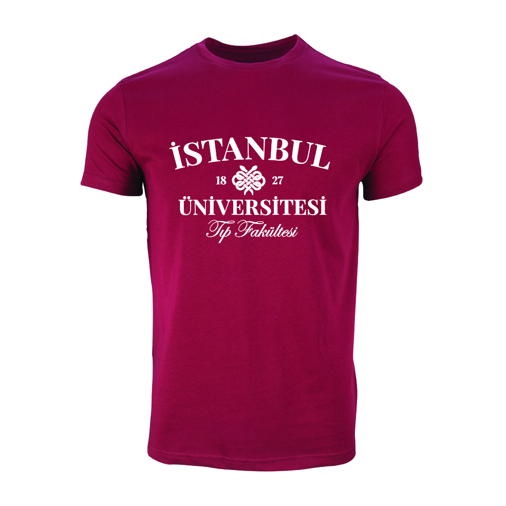 Istanbul Üniversitesi Tip Fakültesi Model 2