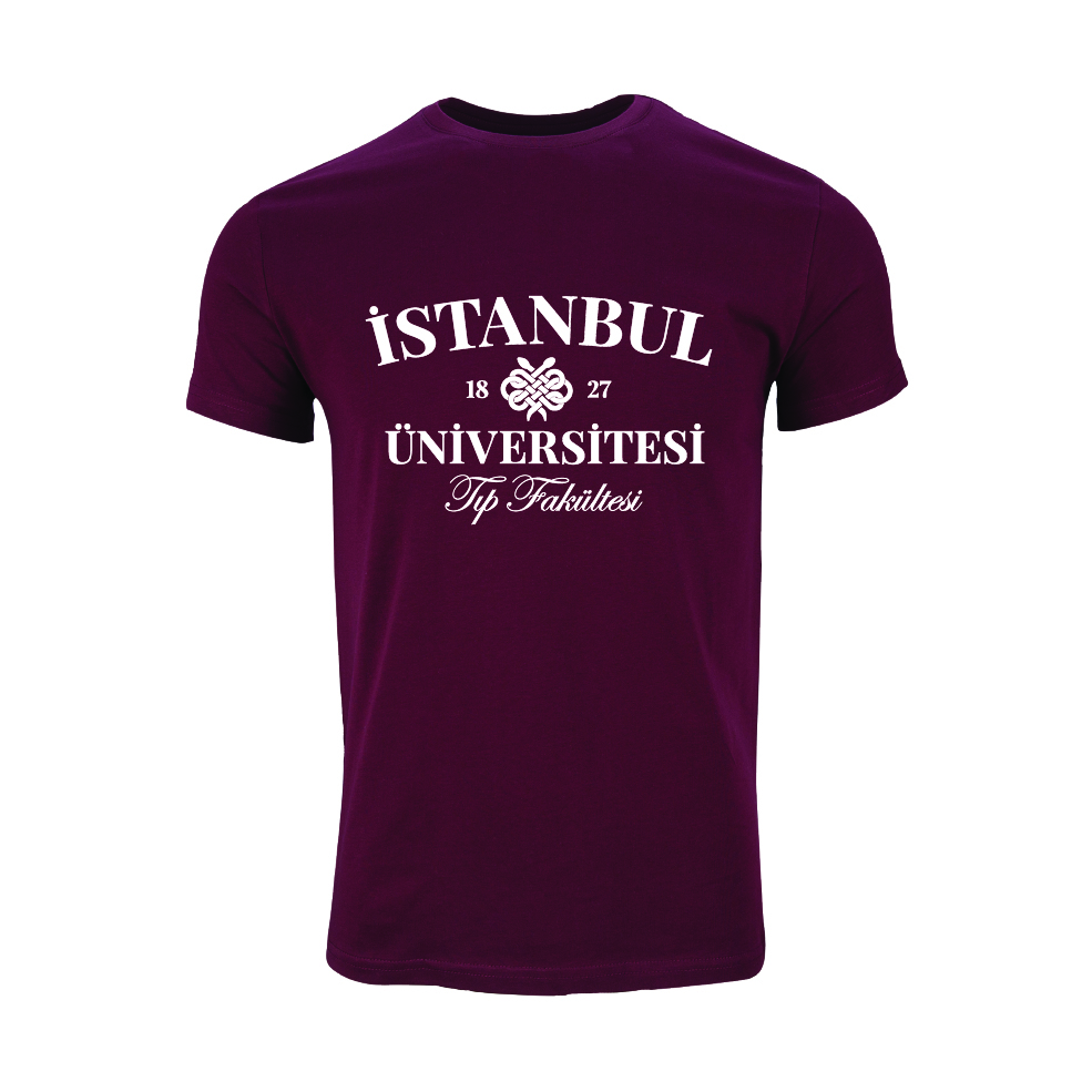 Istanbul Üniversitesi Tip Fakültesi Model 2