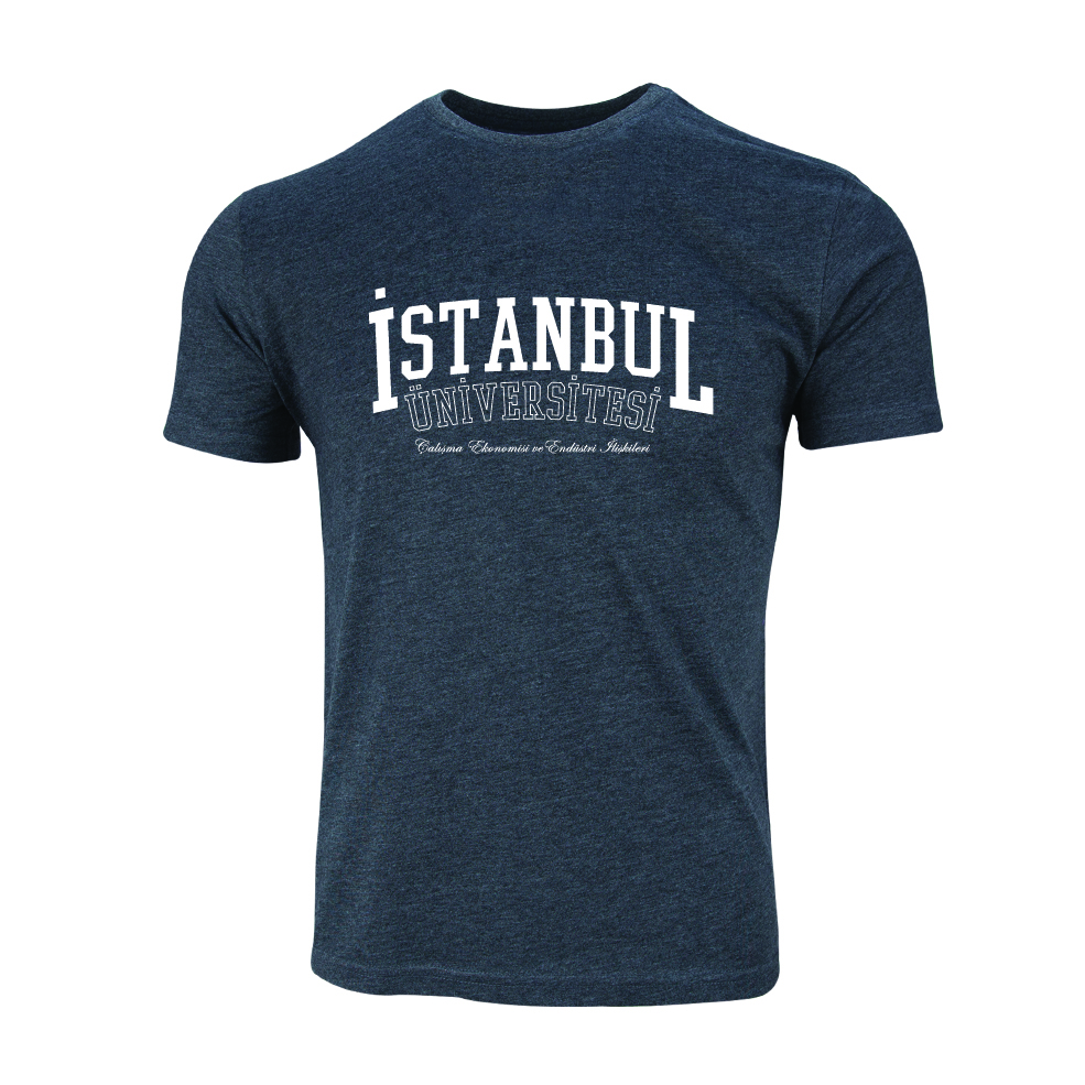 Istanbul Üniversitesi Çalisma Ekonomisi ve Endüstri Iliskileri Model 1