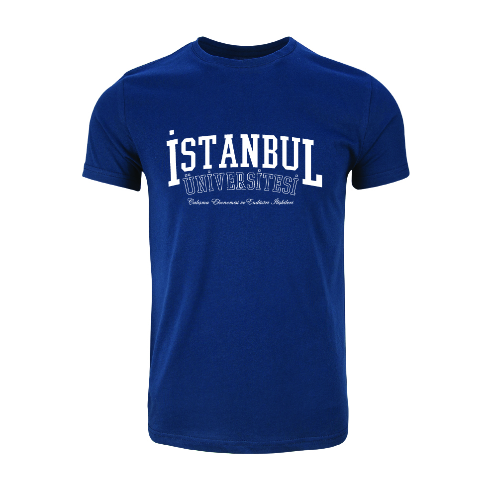 Istanbul Üniversitesi Çalisma Ekonomisi ve Endüstri Iliskileri Model 1