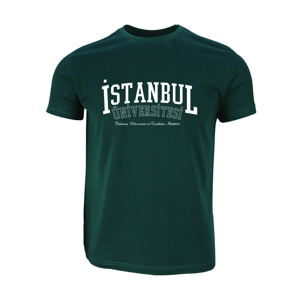 Istanbul Üniversitesi Çalisma Ekonomisi ve Endüstri Iliskileri Model 1