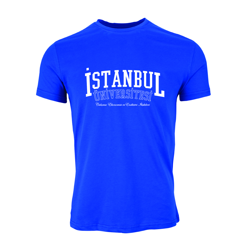 Istanbul Üniversitesi Çalisma Ekonomisi ve Endüstri Iliskileri Model 1