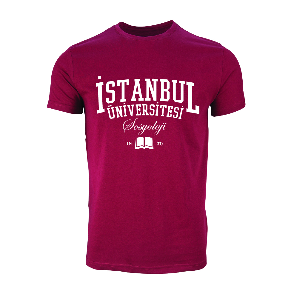 Istanbul Üniversitesi Sosyoloji Model 1