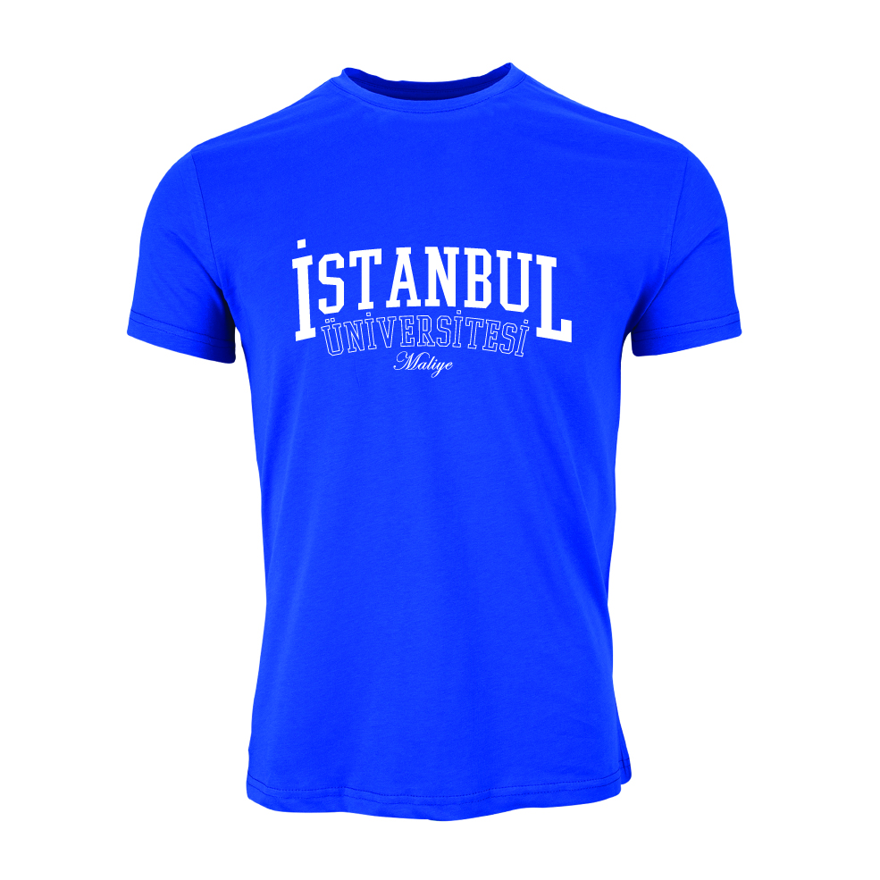 Istanbul Üniversitesi Maliye Model 1