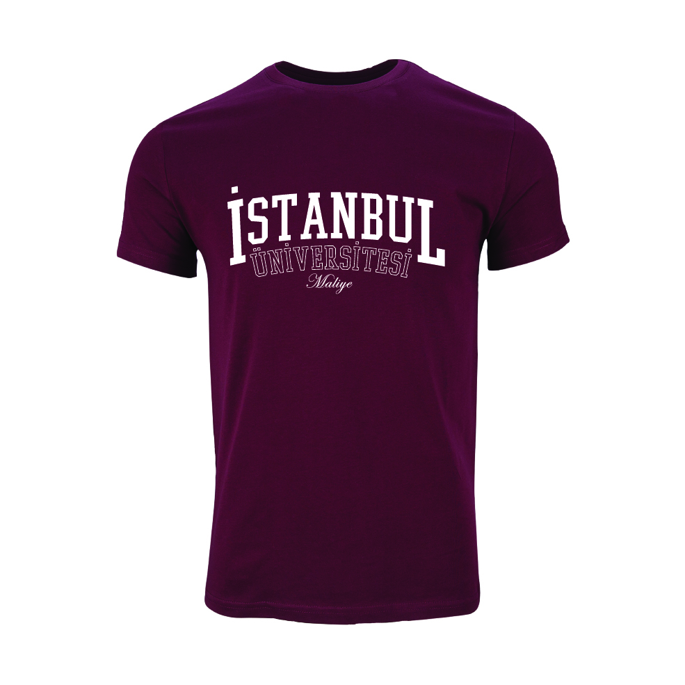 Istanbul Üniversitesi Maliye Model 1