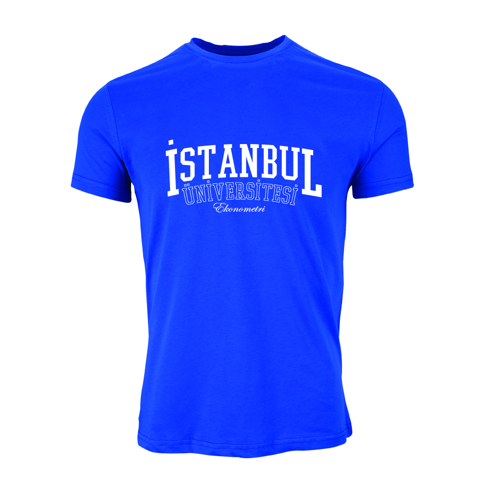 Istanbul Üniversitesi Ekonometri Model 1