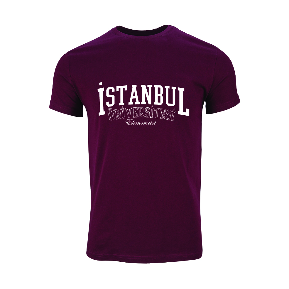 Istanbul Üniversitesi Ekonometri Model 1