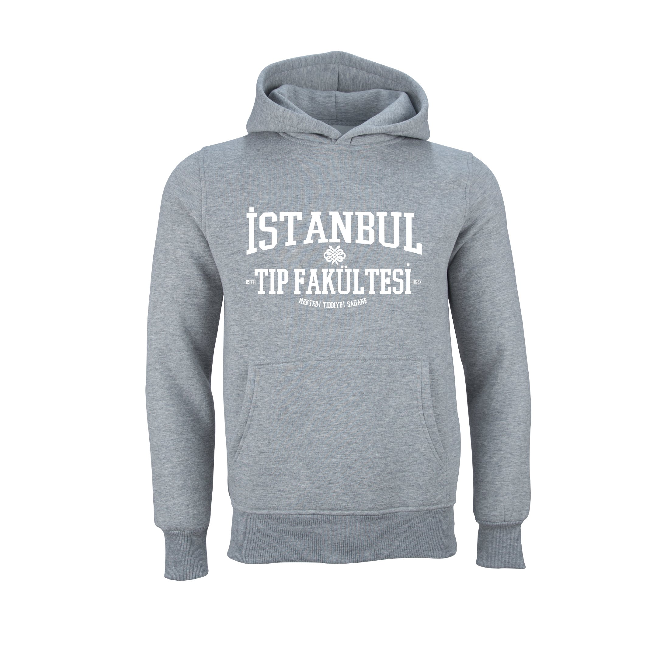 Istanbul Üniversitesi Tip Fakültesi Model 2
