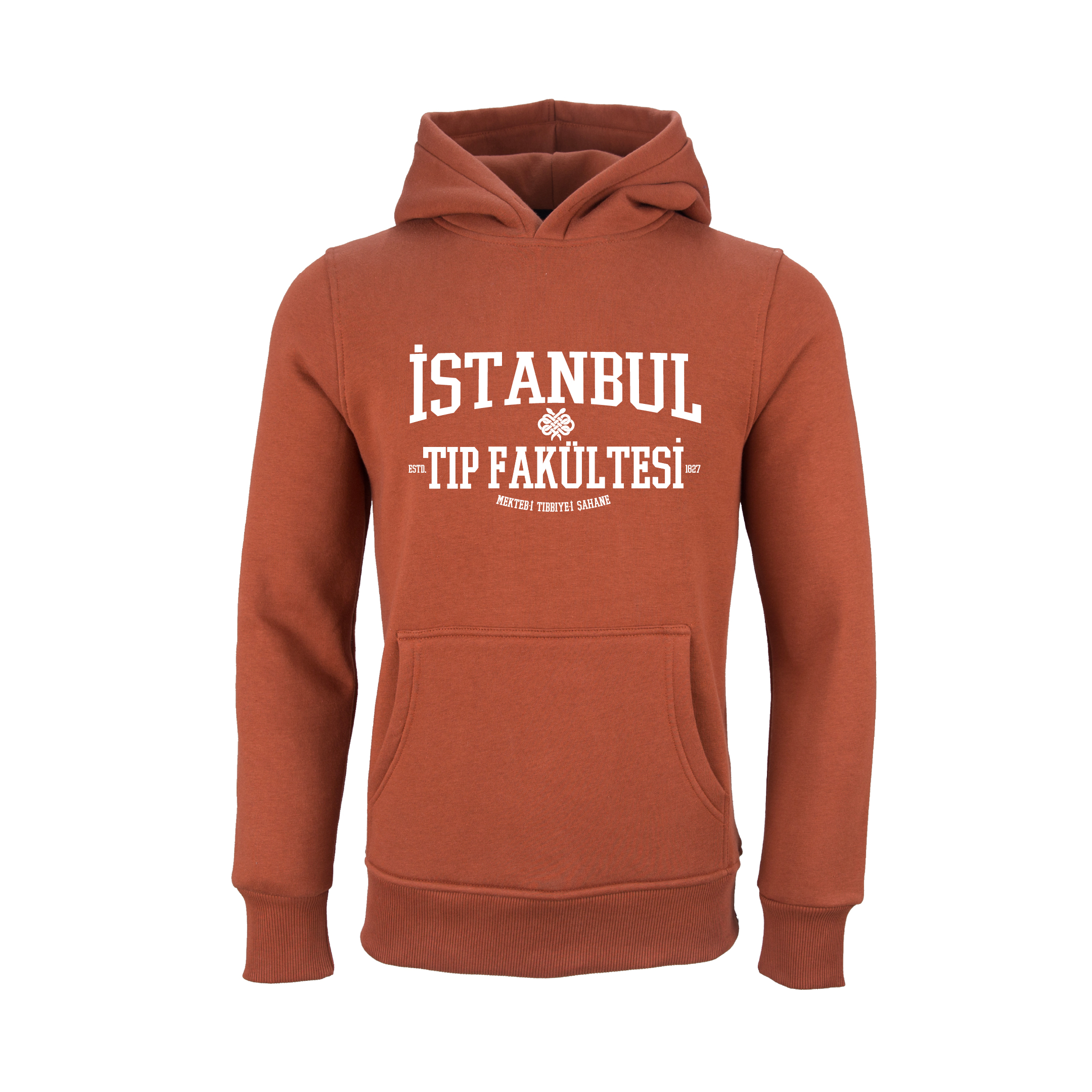 Istanbul Üniversitesi Tip Fakültesi Model 2