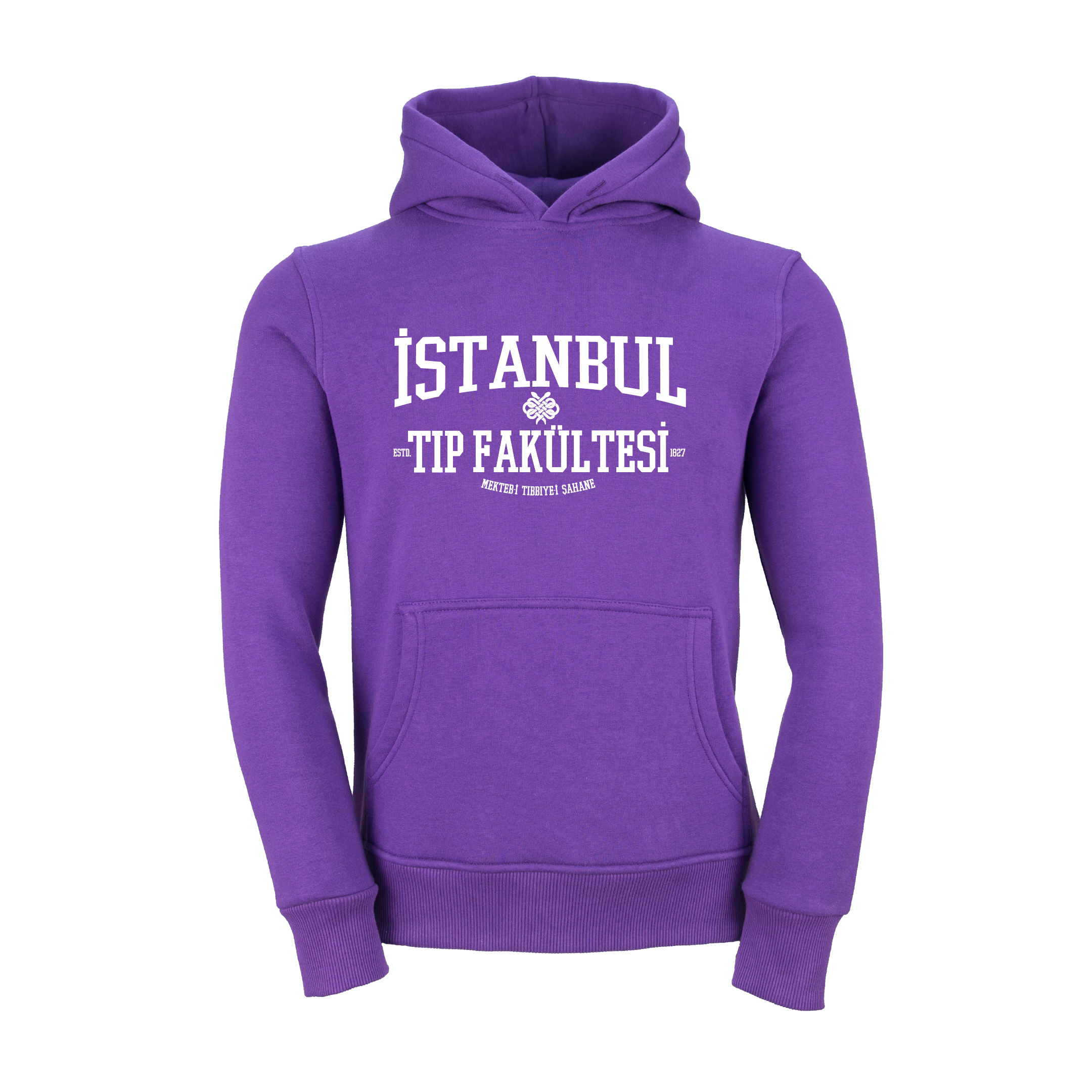 Istanbul Üniversitesi Tip Fakültesi Model 2