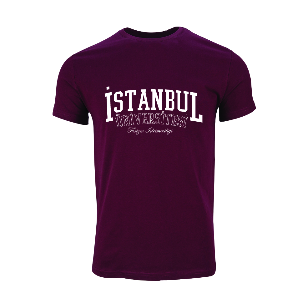 Istanbul Üniversitesi Turizm Isletmeciligi Model 1